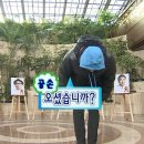 종현 | 광주 첨단 오마카세 [스시종현] - 내돈내산 후기!