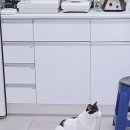 그린펫동물병원 네이버블로그