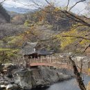 여행지에서 만난 인문학 | 함양 화림동 거연정(居然亭) 탐방: 조선 선비의 건축미와 자연의 절정