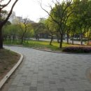 솔안공원 앞 이미지