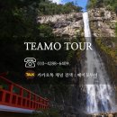 떼아모 이미지