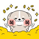 이모네용두동신쭈꾸미 이미지