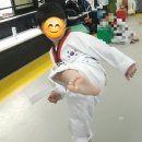 화이트 타이거 태권도 이미지