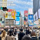 데이타링크 | 일본 esim 유심사 데이타 무제한 이용 후기 일본 여행 필수 준비물