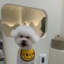 한올디테일그루밍 이미지