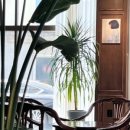 광천오토바이 이미지