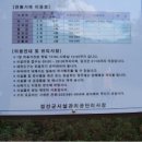 정선이야기