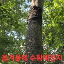 어부지리 이미지