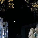 동상앵글 이미지