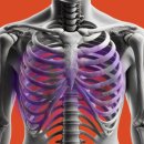 이대갈비 이미지