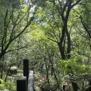 돌산신발