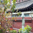 일품백송칼국수 이미지