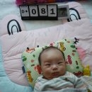 토리81 이미지