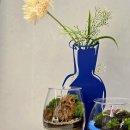 린다플랜트 | 안동공방 린다플랜트 테라리움 원데이클래스 안동데이트