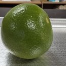 GRapefruit 즐기는 방법 이미지