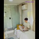 스테이 청춘 이미지