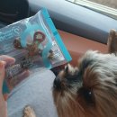 삼멍삼냥 이미지