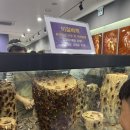 창녕동애등에 이미지