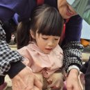 새장유어린이집 이미지