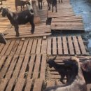 청광농장 이미지