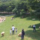 남해축산 이미지