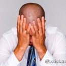 늑대와여우 이미지