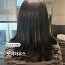 대구 수성구 미용실 범어동 염색 도이하우스 나연디자이너 톤다운 후기