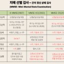 문해교육 초등학력 인정 1단계 (B) | 6월 대공한협 특강 - 하니위키 치매편