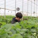 새샘농장 이미지