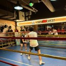 용인대SM복싱클럽 계양구청점 | [인천복싱 명문 SM복싱클럽] 아시안게임 금메달리스트 함상명 코치님과의 심장 뛰는 친선 스파링