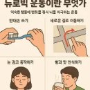 늙어가는 뇌… 4가지만 알면 '뇌춘'~ 이미지
