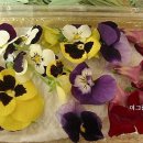 대한김밥 이미지