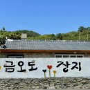 금오도 야영장 이미지