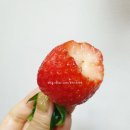 윤청과 이미지