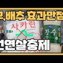 막걸리 + 사카린을 이용한 천연살충제를 만드는법입니다 이미지