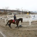 레이크밸리승마클럽 이미지