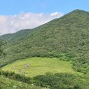 곰배령화원 Daum카페