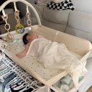 (주)삼신 | 14주 차 | 백일 엉아로 진화 / 첫 뒤집기 / 삼신상 후기