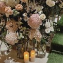 포유 | 📷 [아이폰스냅] 찐! 내돈내산! 포유스냅 계약후기 🫧🤍