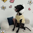 일상을 기록하는 글쓰기 | 포토머그컵주문제작_일상을 기록하는 시간, 머그컵인쇄로 남긴 우리집 아이들