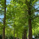 양덕동464 이미지