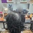 공릉 화랑대역 미용실 시크릿헤어 숏컷 아이롱펌 시술 후기
