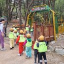 장산로 이미지