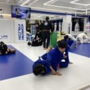 스웻바디라이프mma주짓수킥복싱 이미지