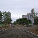 동탄센트럴파크 인공암장 이미지