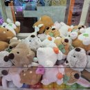 대빵 오락실 노래연습장 이미지