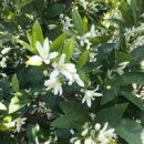 은선농장 이미지