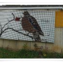 당현천주변 이미지