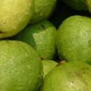 선아농장 이미지