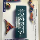 소설 음양화평지인 - 이재운 저